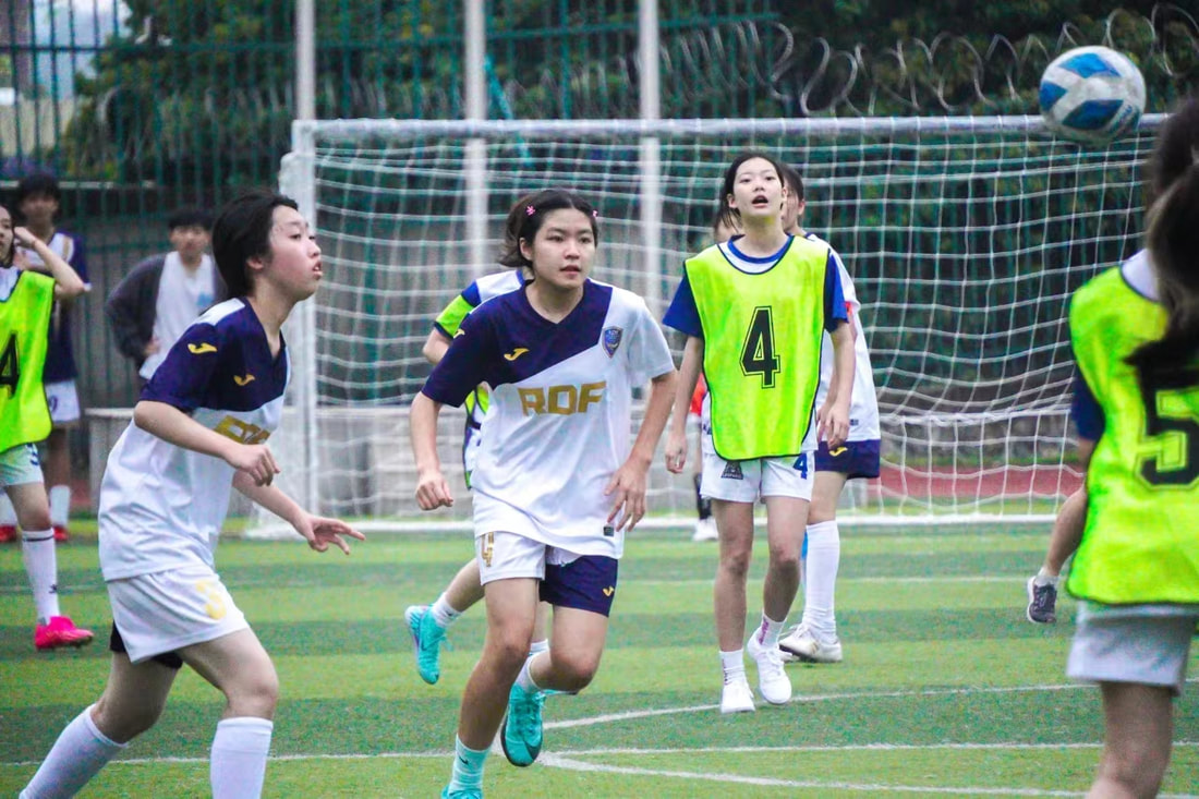 瑞得福学校 RDFIS