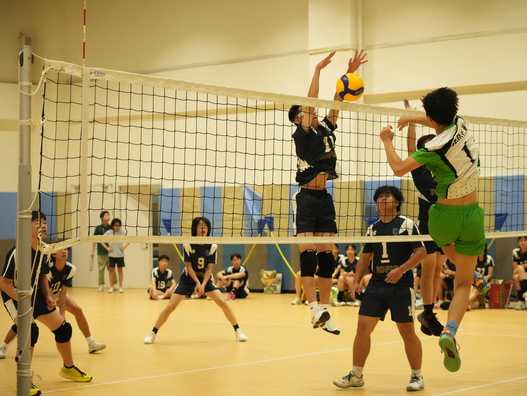 瑞得福学校 RDFIS
